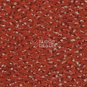 Ковролин Balsan Zenith Roll 435 фото 1 | FLOORDEALER